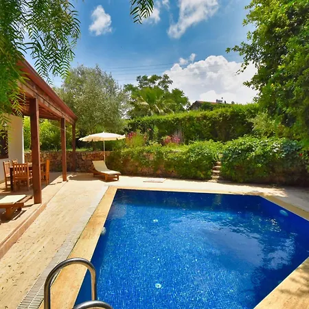 Kilim Kaya Kinali (Aegean)